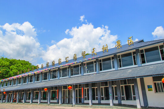 望天树景区