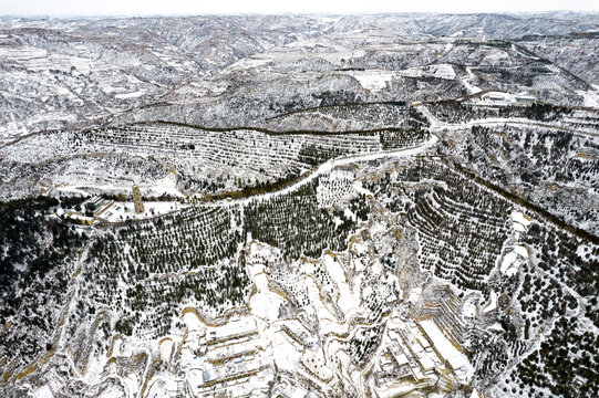 森林雪景