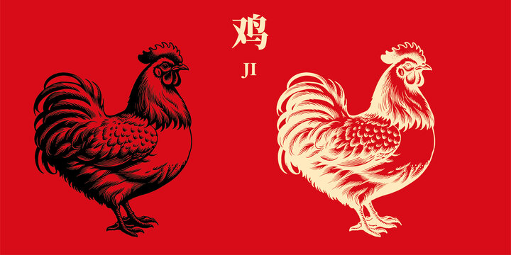 鸡插画