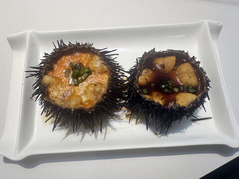 海胆