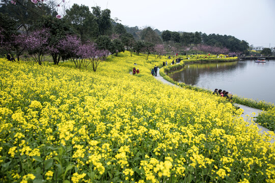 天坪山云林天乡
