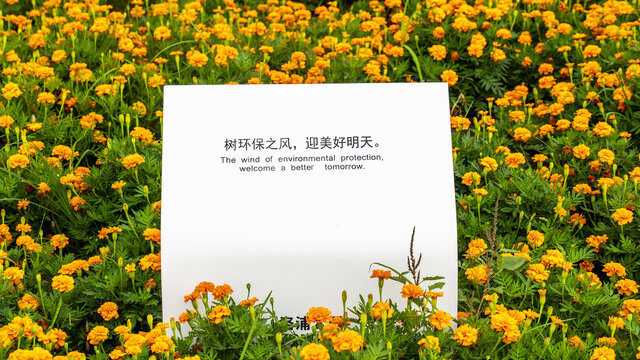 花草牌
