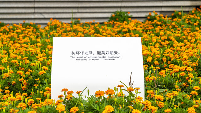 花草牌