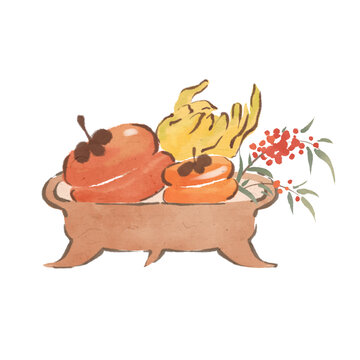 果盘中国传统节气秋天节日插画