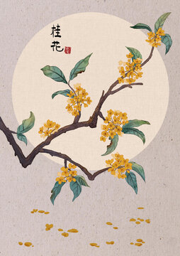 水墨水彩花卉中秋桂花
