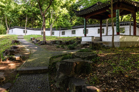 虎丘风光