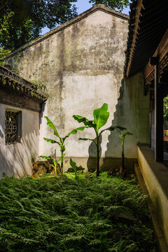虎丘建筑