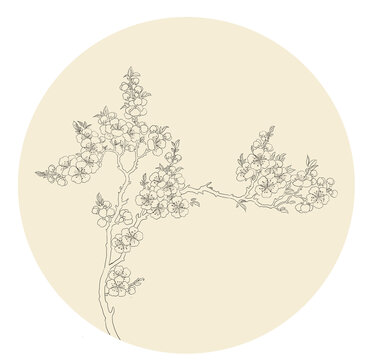 桃花线稿