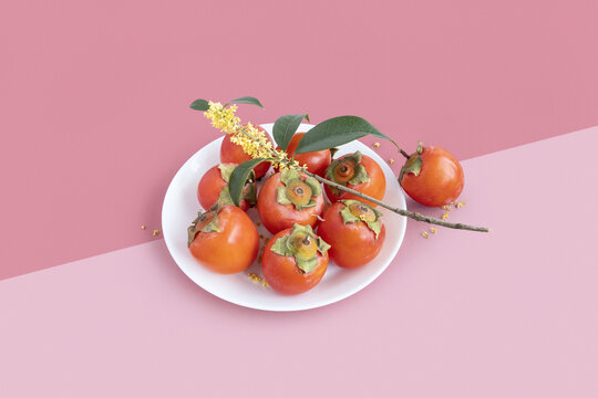 桂花野柿子