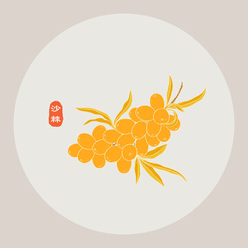 沙棘