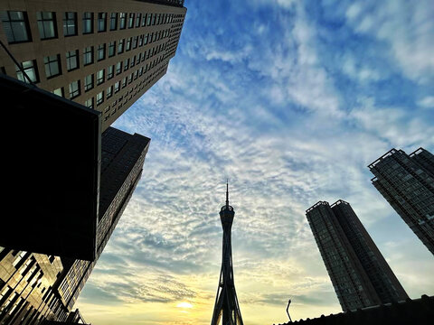 城市