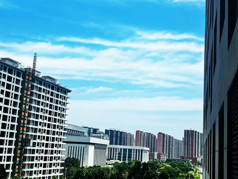 城市
