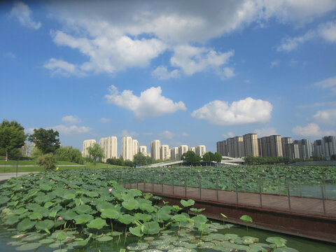 湖景房