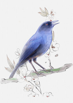 蓝鸟手绘插画PS源文件