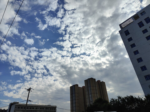 蓝天高楼自然风景天空云彩