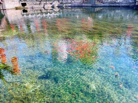 湖中春色