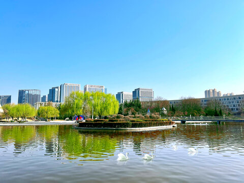 冬天景象