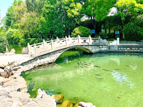 水桥清水