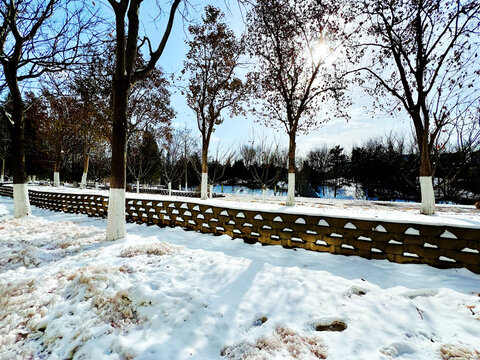 雪景