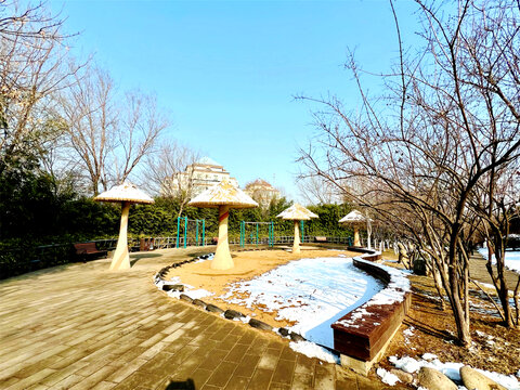 雪景