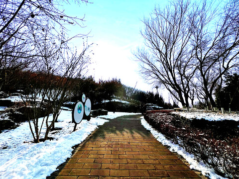 雪景