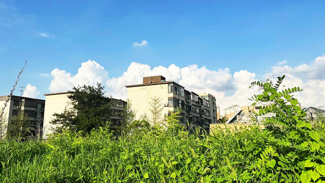 城市