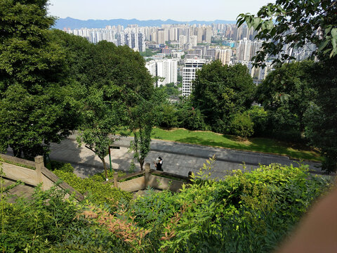 醉翁之意不在路在乎远近层次感