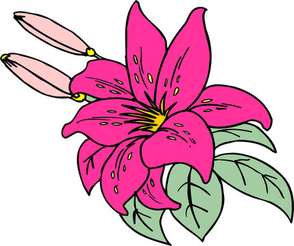 手绘花朵