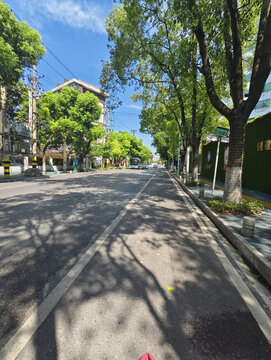 夏日马路边