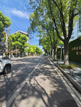 夏日马路边