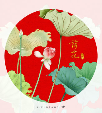 荷花插画