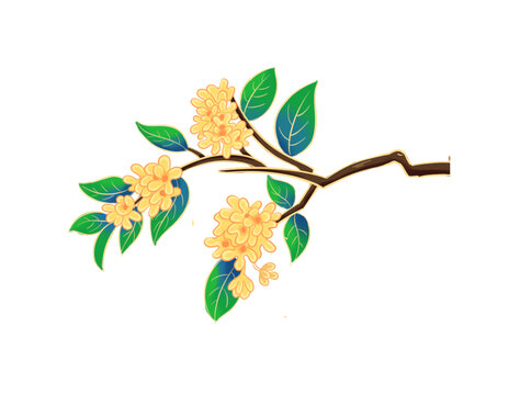 桂花插画