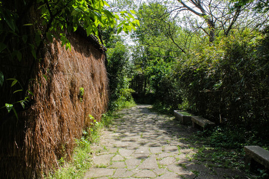 杭州西溪湿地风光