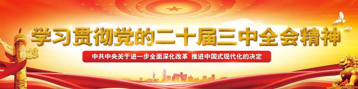 二十届三中全会