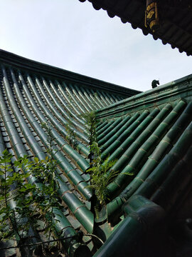 城春草木深