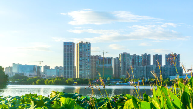 西湖公园风景