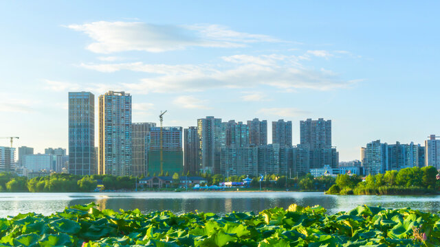 西湖公园风景