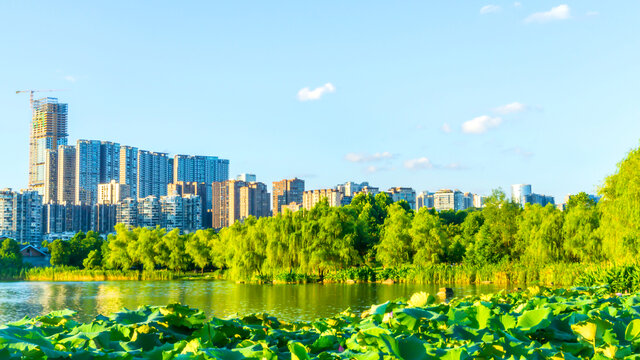 西湖公园风景