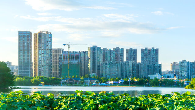 西湖公园风景