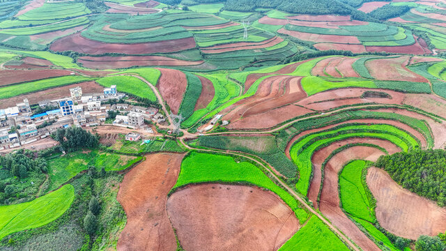 东川红土地