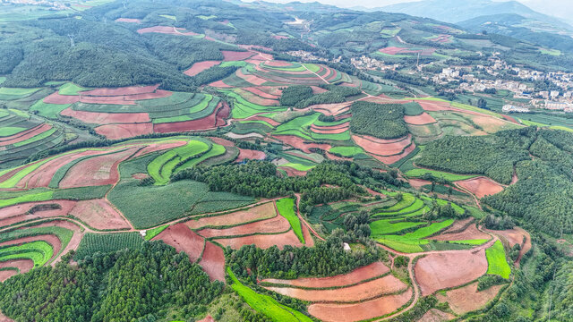 东川红土地