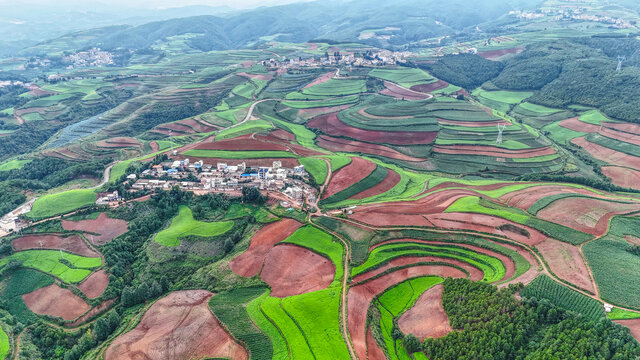 东川红土地