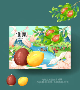 锥栗包装插画