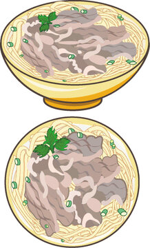 中国美食贵州花溪清汤葱花牛肉粉