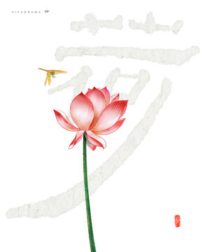 荷花插画