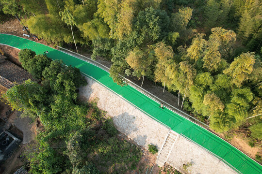 竹林跑道