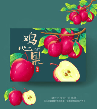 鸡心果礼盒插画
