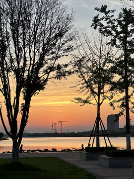 夕阳