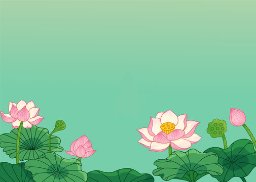 夏日荷花国风插画