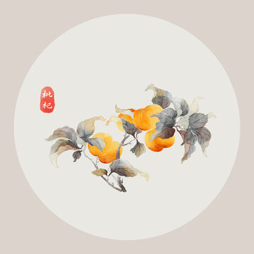 手绘枇杷